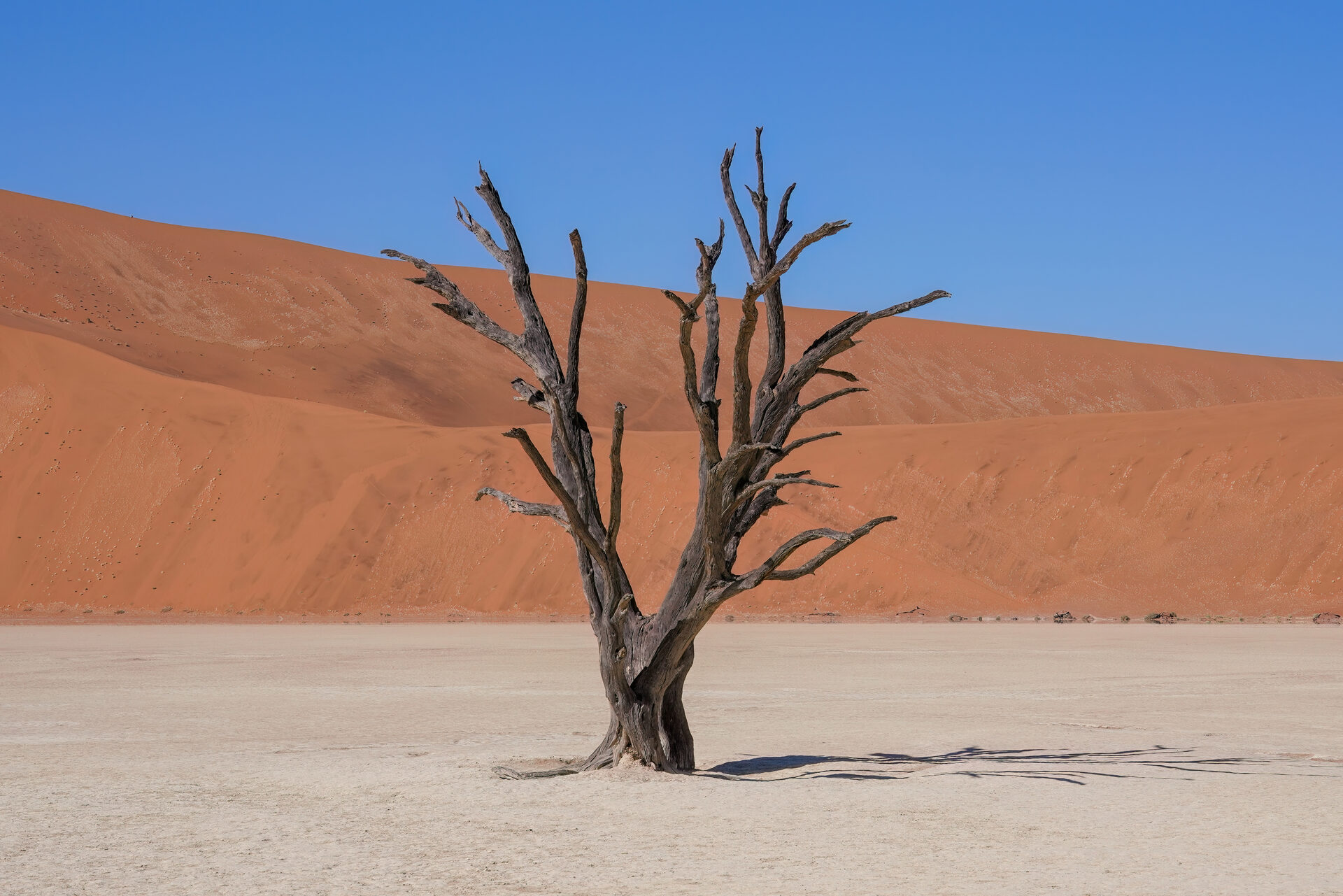 Voyage sur mesure Namibie