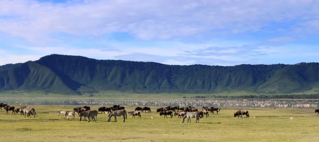 visiter cratère de ngorongoro Tanzanie Afrique La Voyagerie