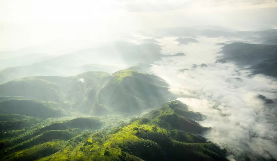 Forêt impénétrable de Bwindi et gorilles