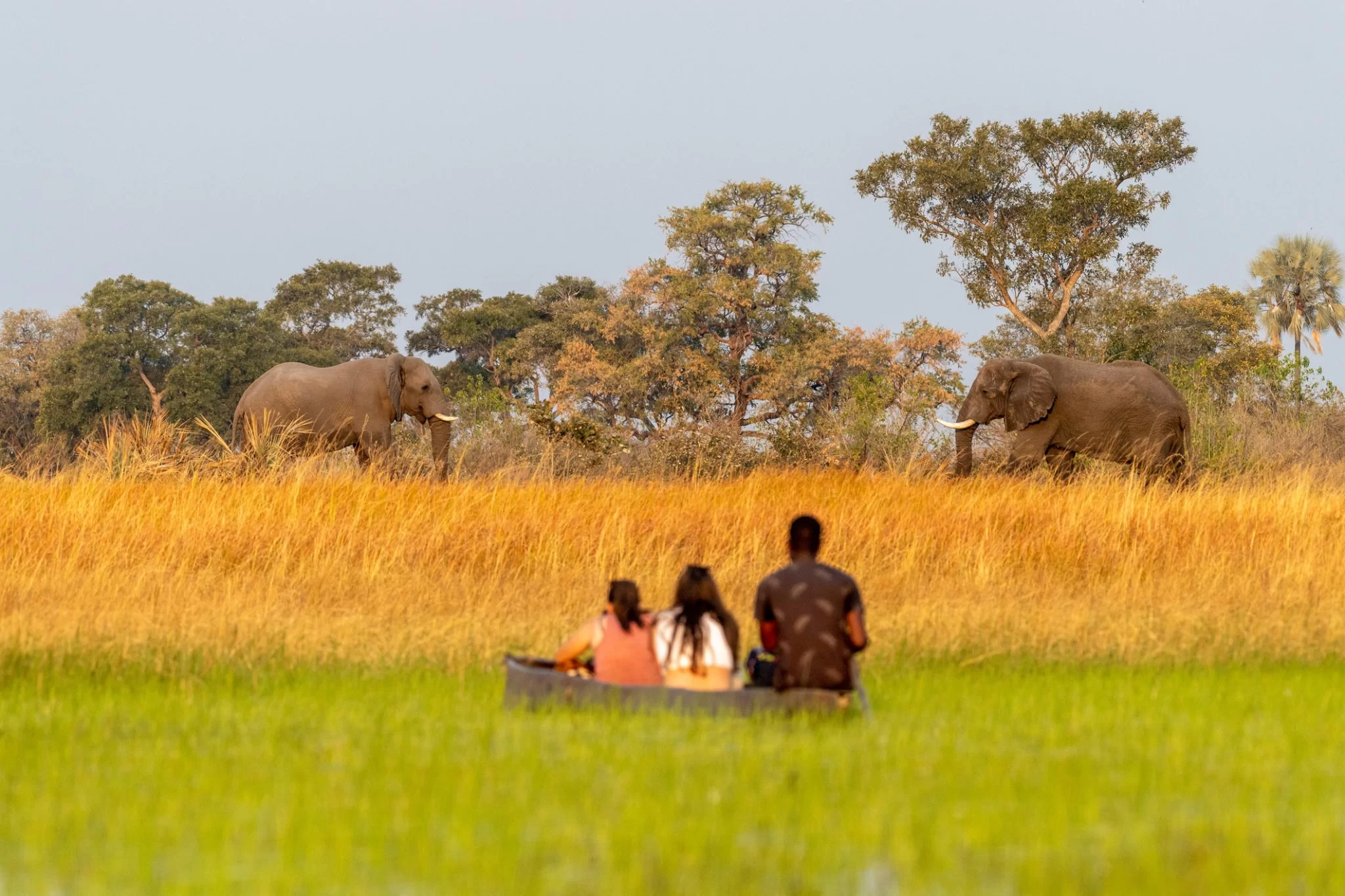 safari en mokoro delta okavango avec La Voyagerie