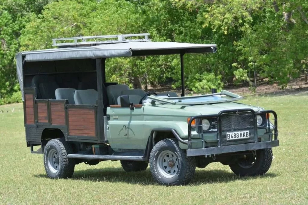 Voiture-safari aventure