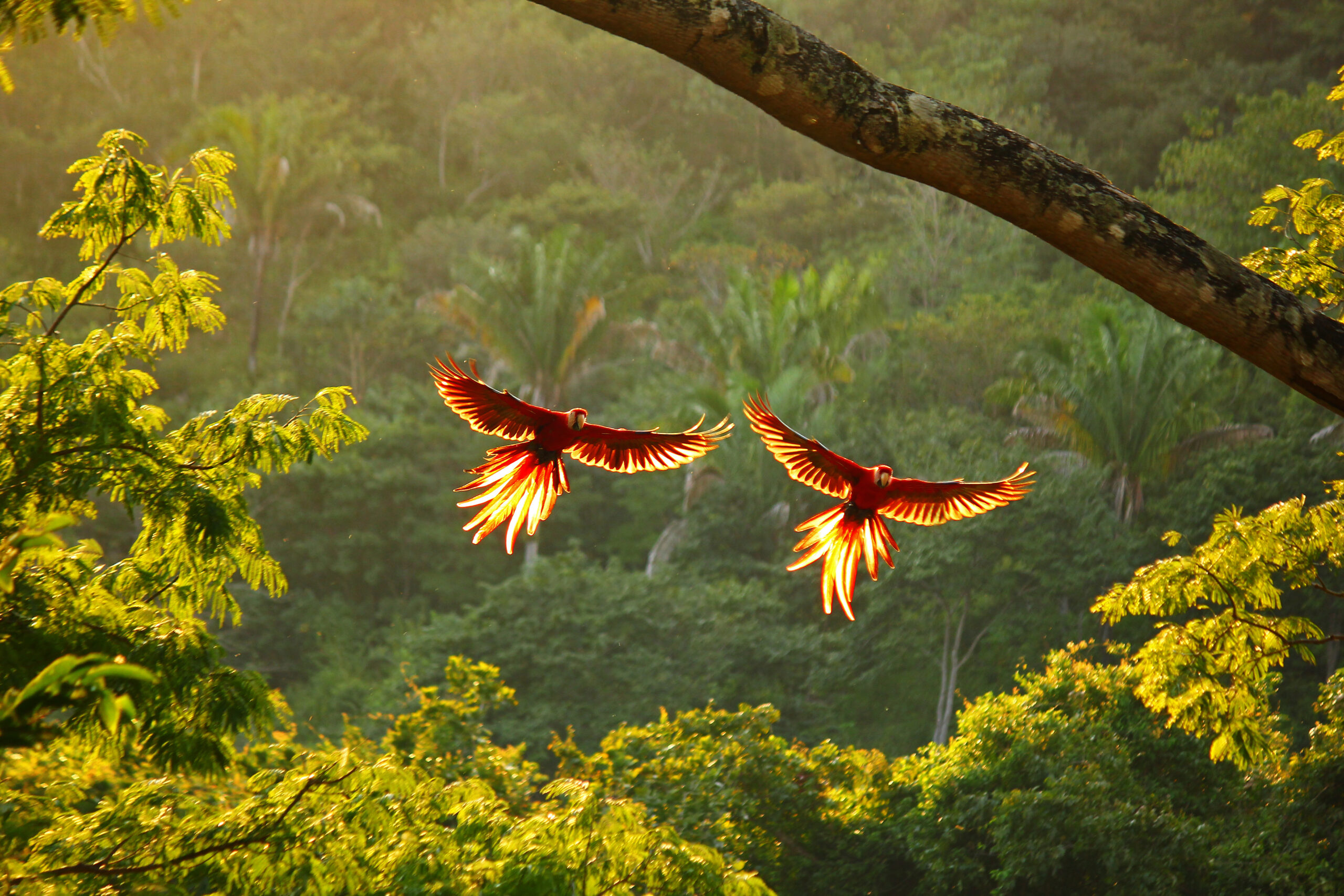 voyage au costa rica sur mesure La Voyagerie