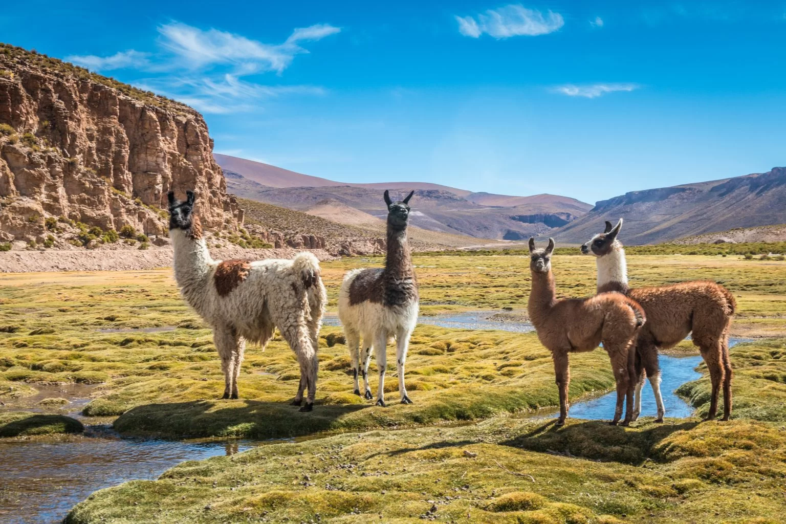 agence voyage la bolivie La Voyagerie