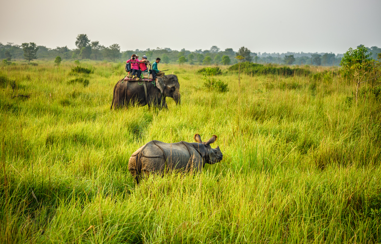 Parc national de Chitwan, Nepal - La Voyagerie