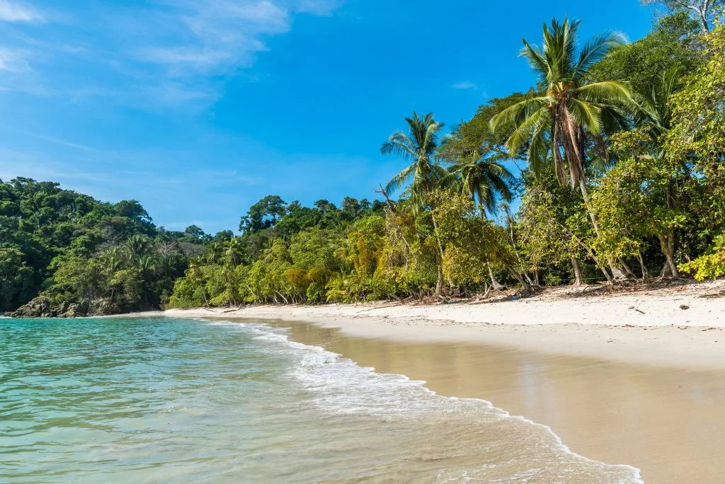 visiter PARC NATIONAL MANUEL ANTONIO costa rica avec La Voyagerie