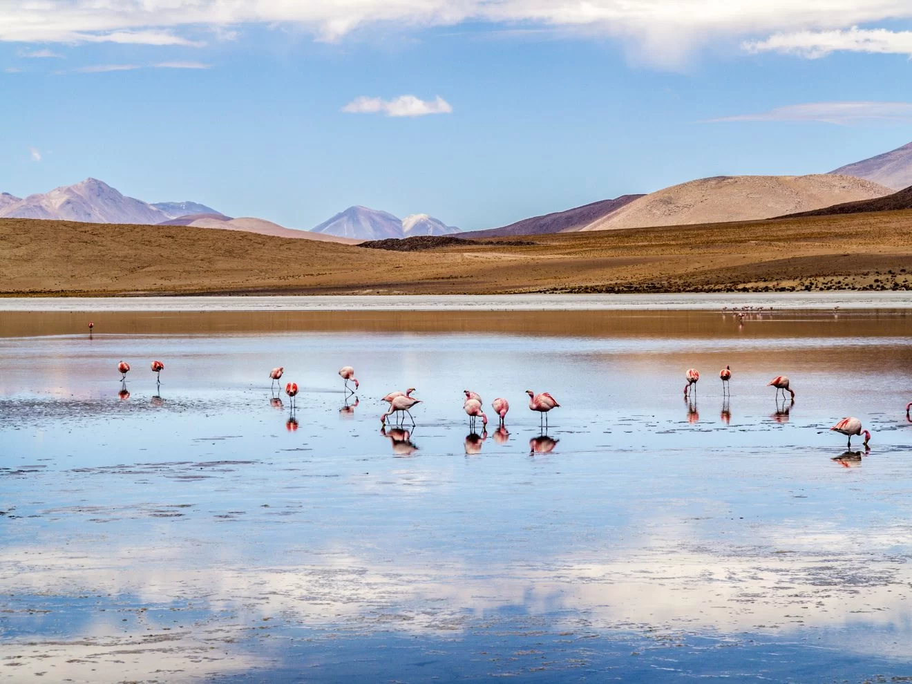 Altiplano en Bolivie avec La Voyagerie