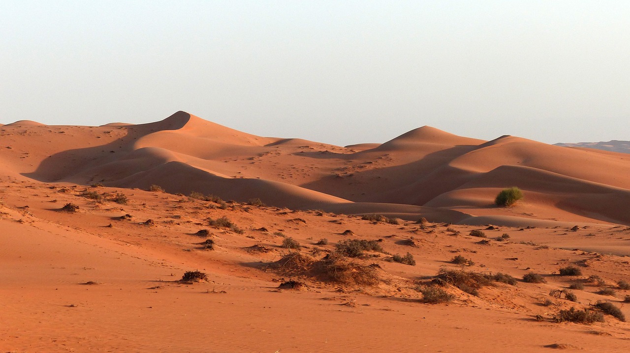 visiter le desert Sharqiya Sands Oman