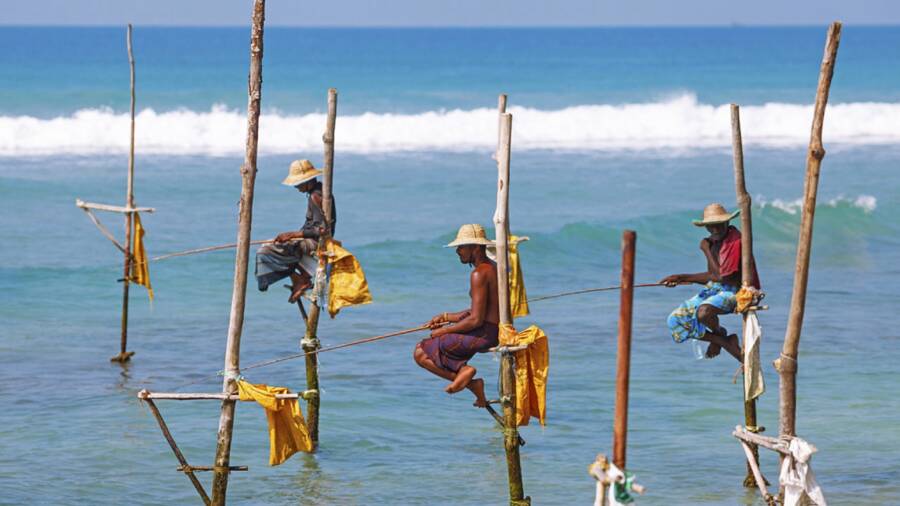 voyager au sri lanka avec agence