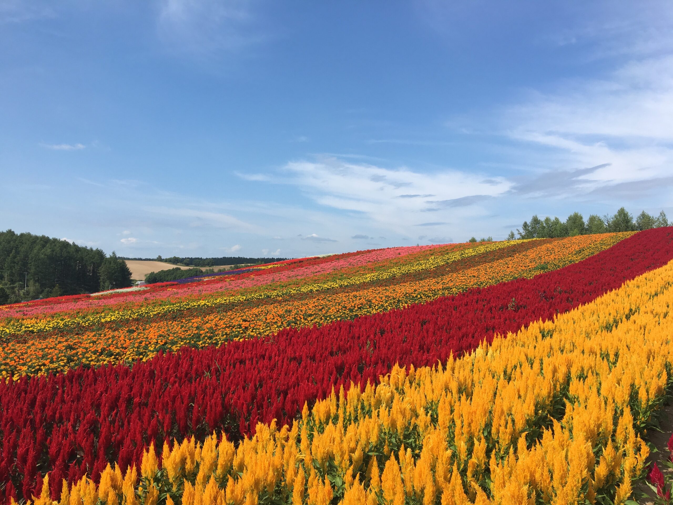 visiter hokkaido japon