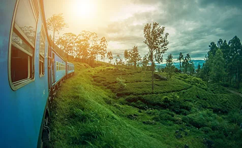 la voyagerie agence pour voyage au sri lanka