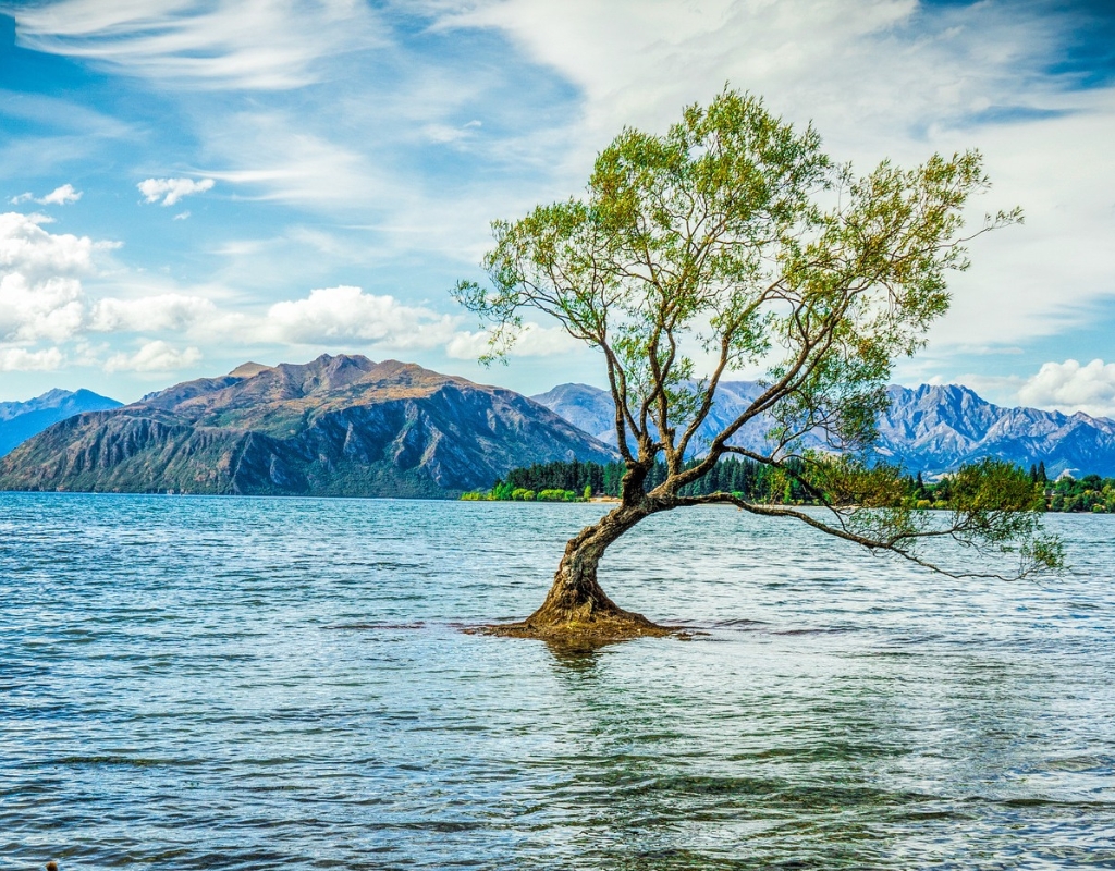 lac wanaka nouvelle-zelande