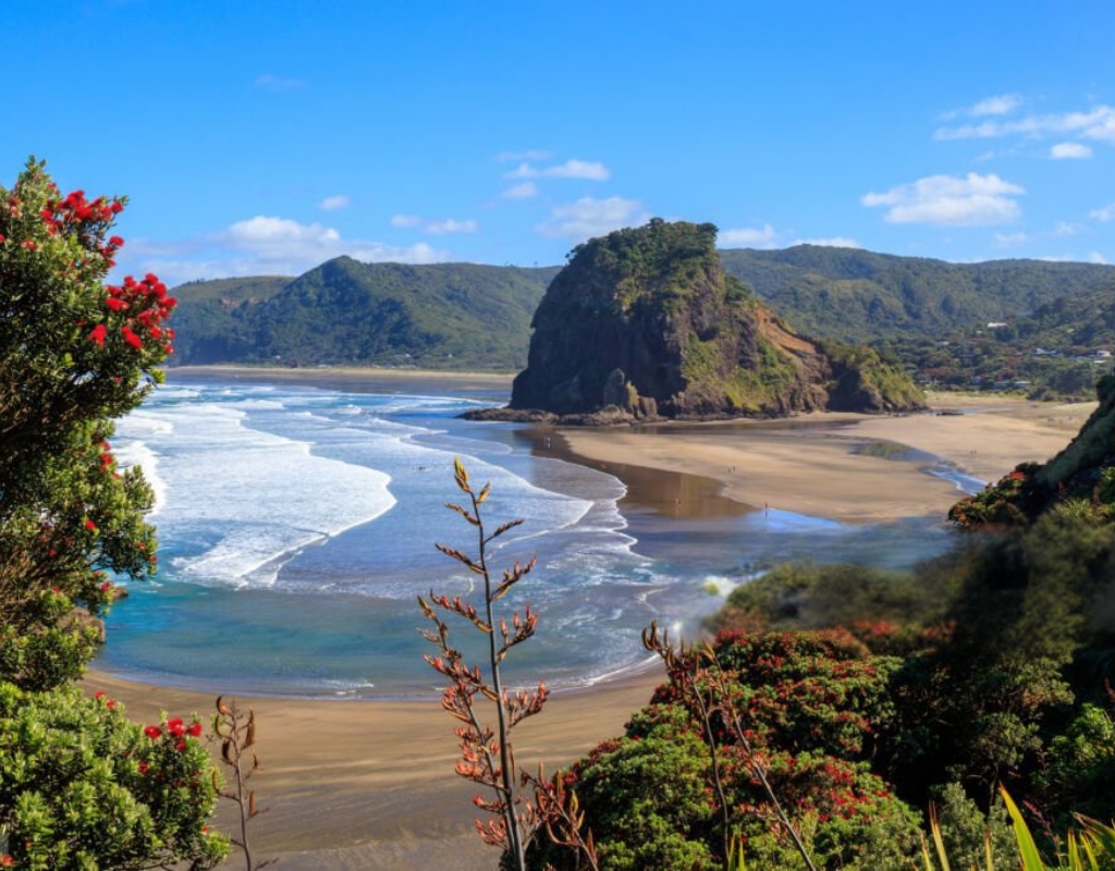 plage piha nouvelle zélande aukland