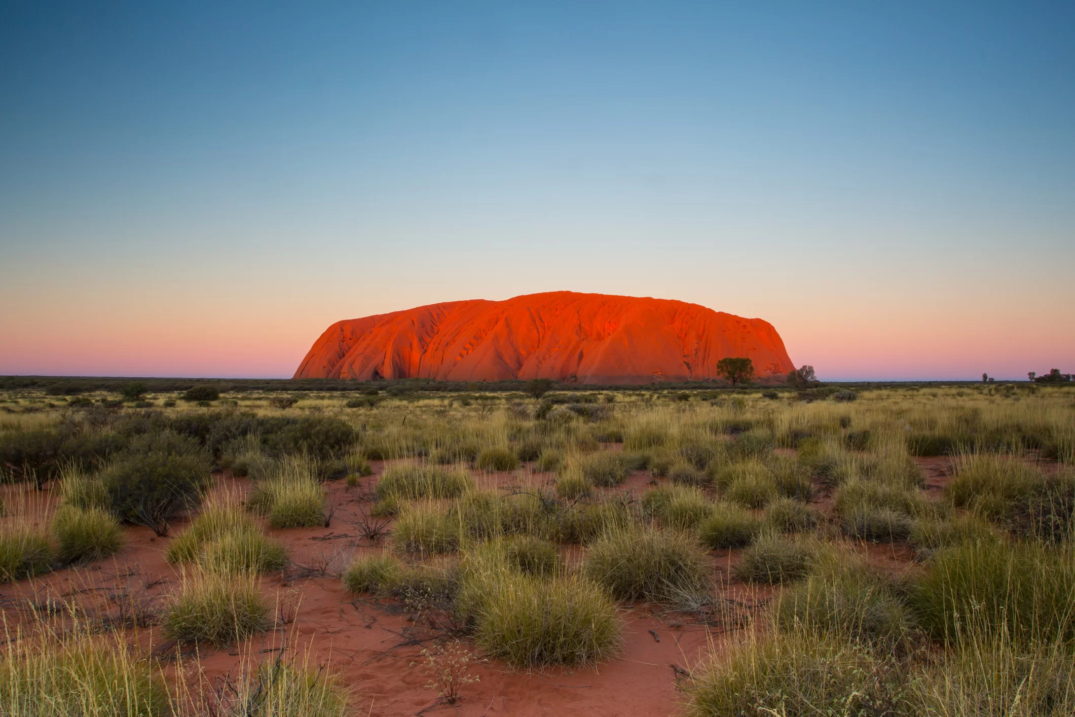 uluru australie outback