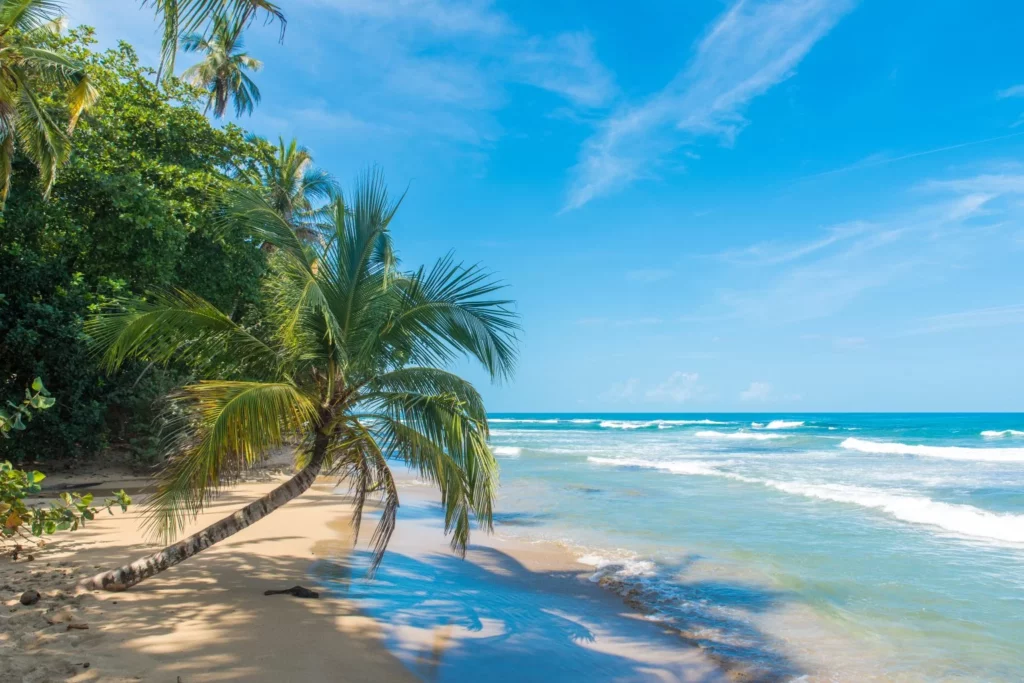 les plus belles plages du costa rica avec La Voyagerie