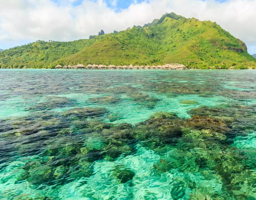 voyage tahiti polynesie