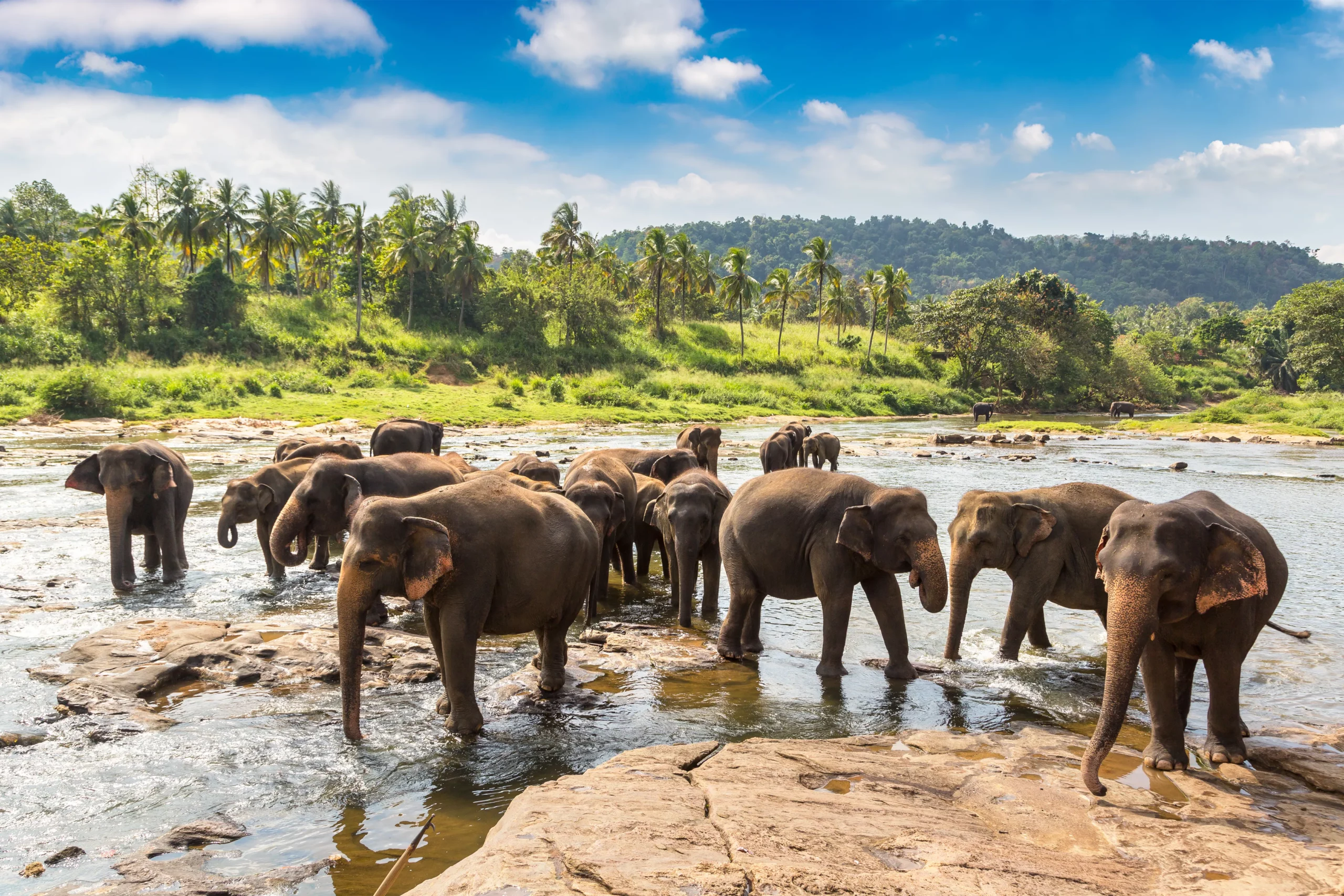 partir en voyage au sri lanka