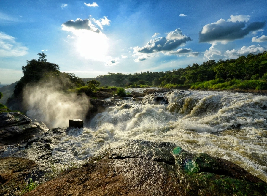 Ouganda 15 visiter Le parc national de Murchison Falls