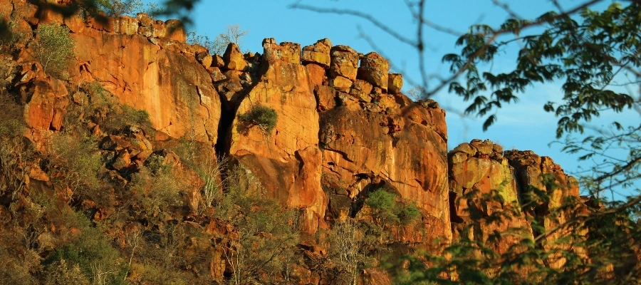 montagne plateau du waterberg