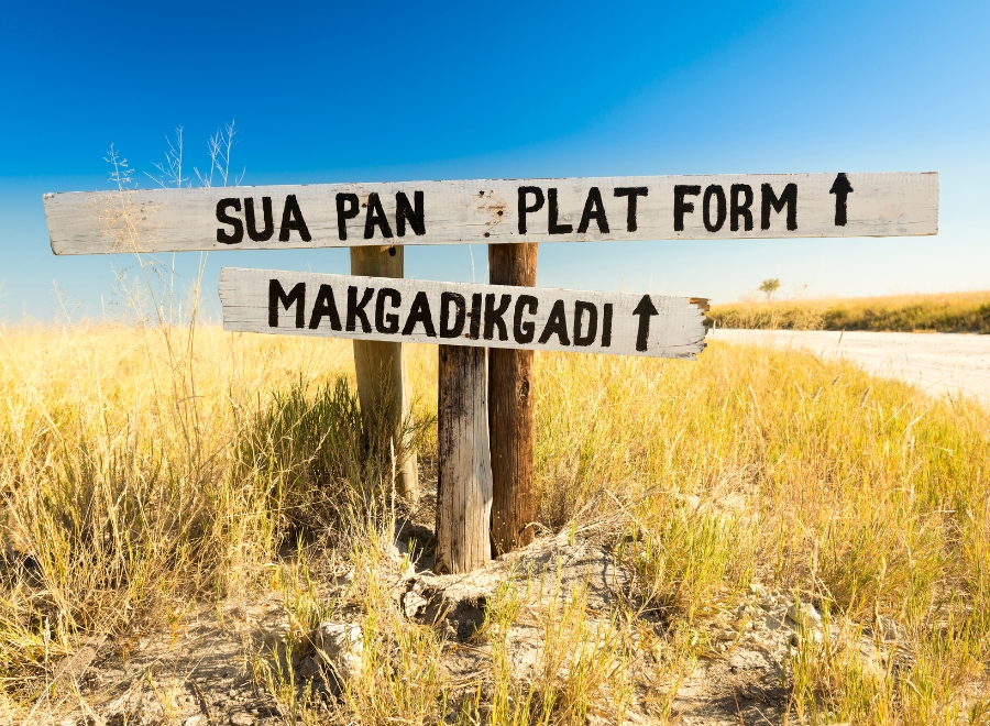 Rencontre avec le peuple San dans le désert du Kalahari