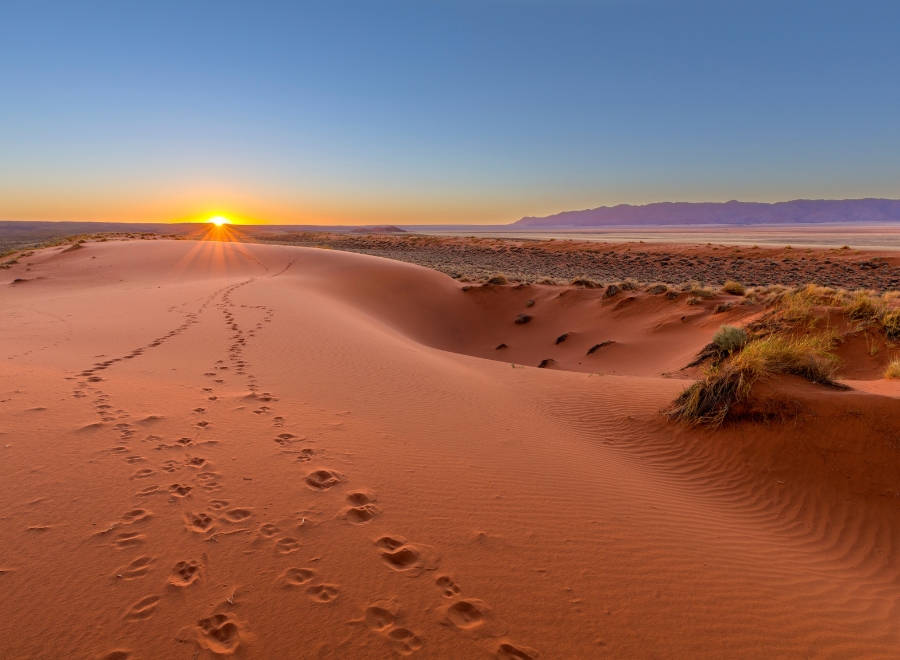 Road trip sur les pans salés de Makgadikgadi