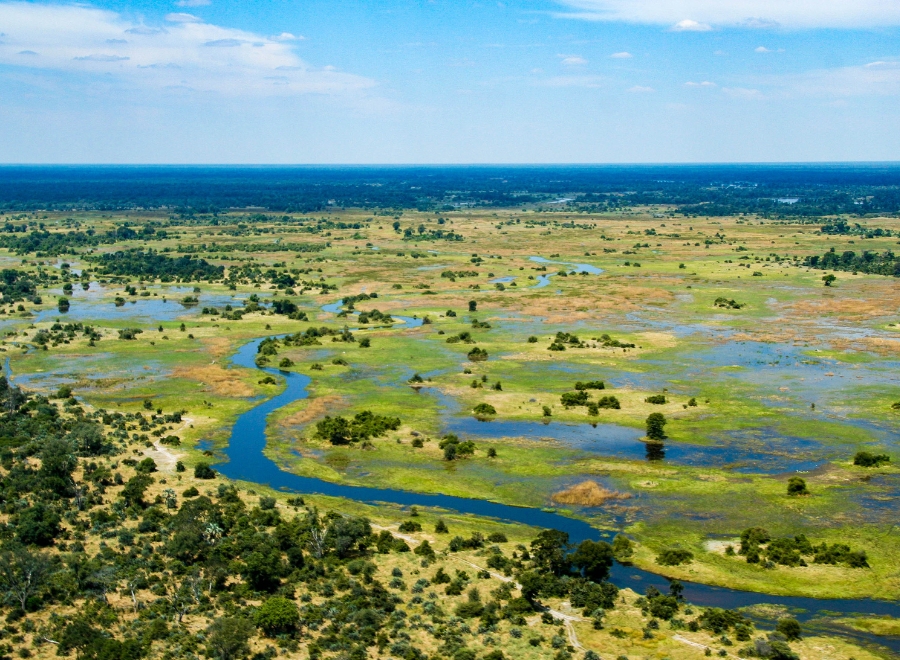 Safari en mokoro dans le delta de l’Okavango