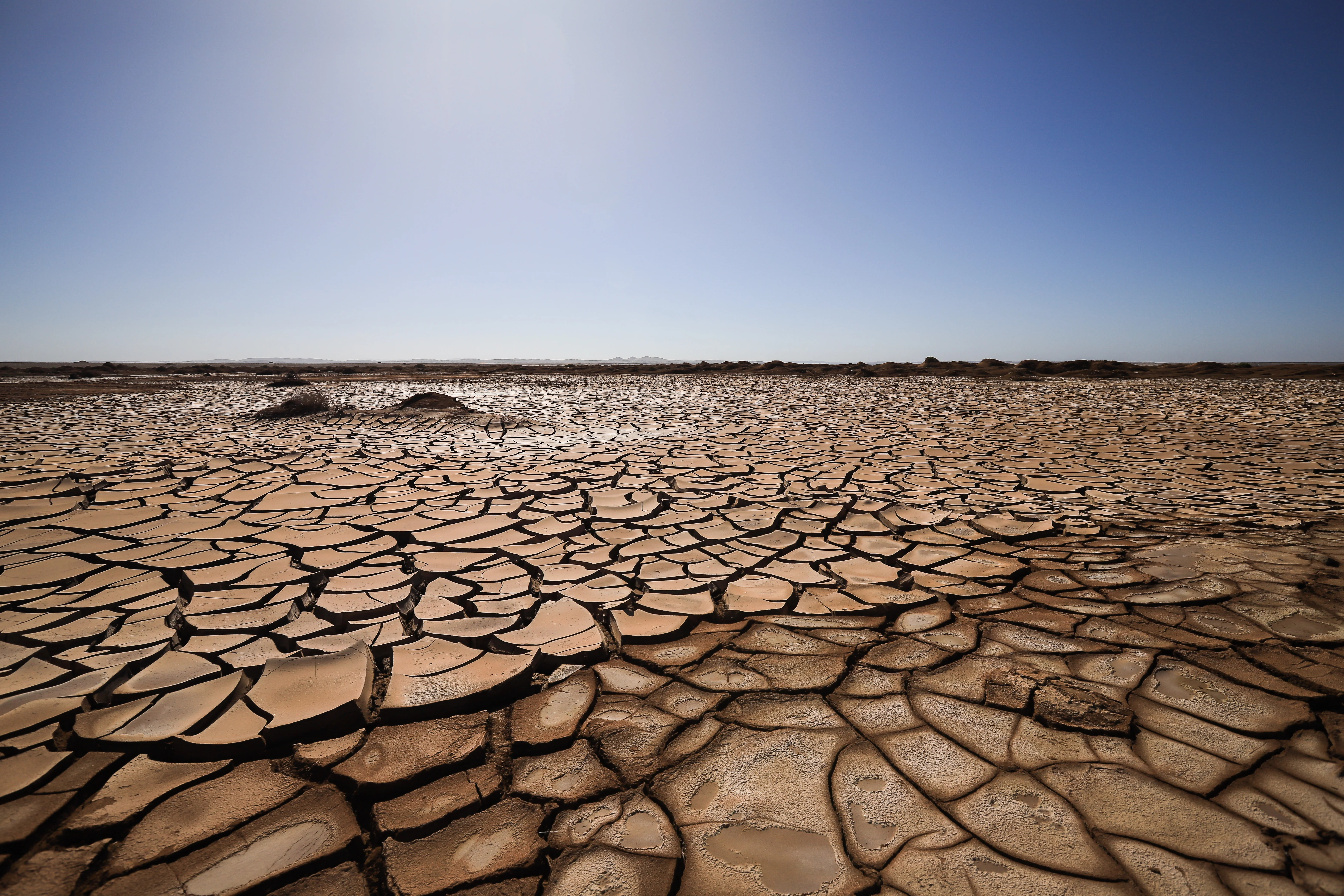 Une terre craquelée et sèche s'étend à perte de vue sous un ciel bleu clair, évoquant le sentiment de désolation et d'âpreté caractéristique des paysages touchés par la sécheresse en Namibie