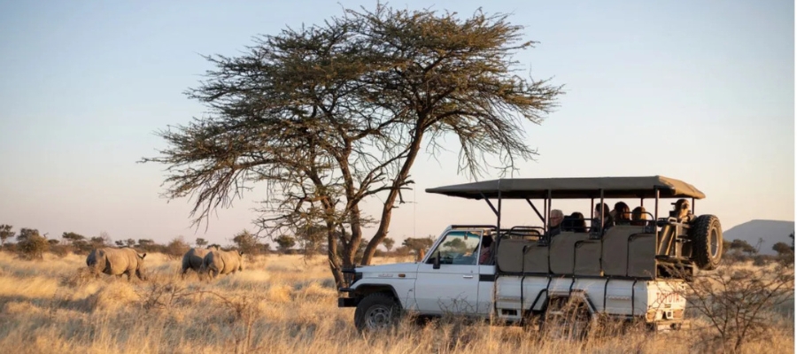 Un véhicule de safari en Namibie avec des touristes est garé près d'un acacia dans la savane. À l'arrière-plan, deux éléphants se promènent dans la prairie sous un ciel dégagé.