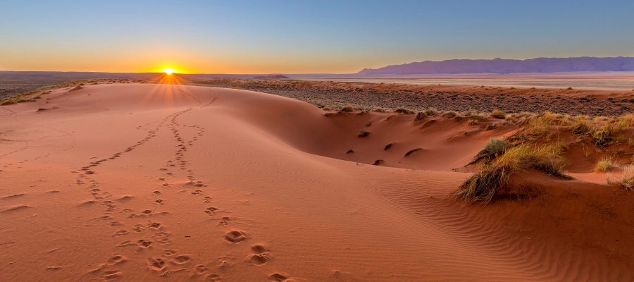 Un lever de soleil doré sur un vaste désert aux dunes de sable rouge ondulées au désert de Namib en Namibie.