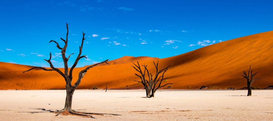 Parc national de Namib-Naukluft, Namibie
