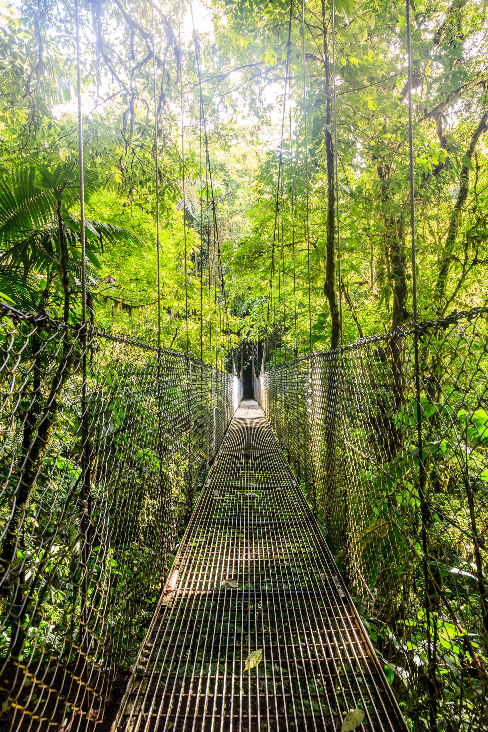 partir en voyage au costa rica
