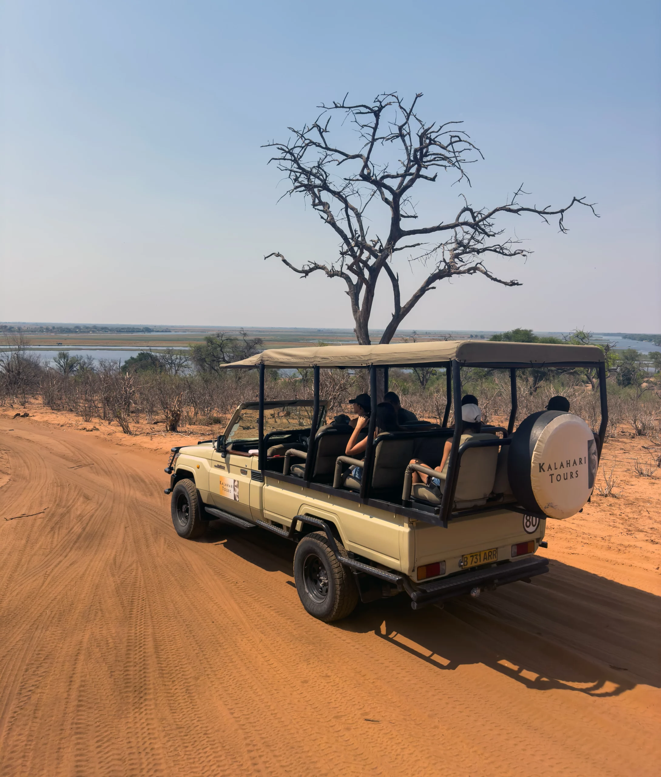 safari au botswana