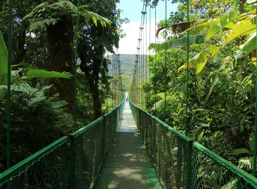 visiter Monteverde costa rica
