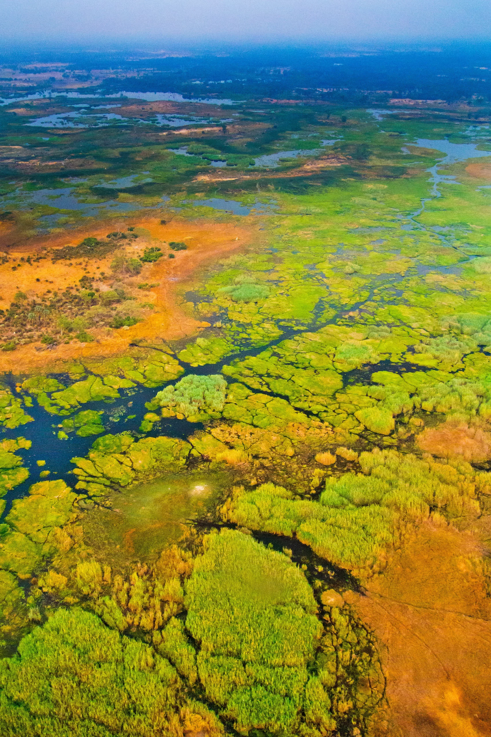 visiter le botswana