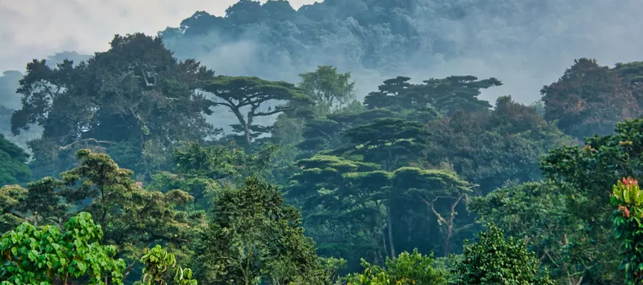 Essentiel Ouganda 3 32