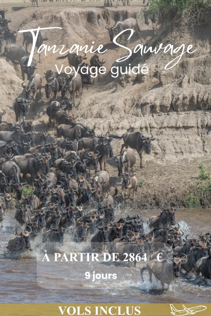 Tanzanie sauvage en 9 jours 22 TANZANIE SAUVAGE EN 9 JOURS