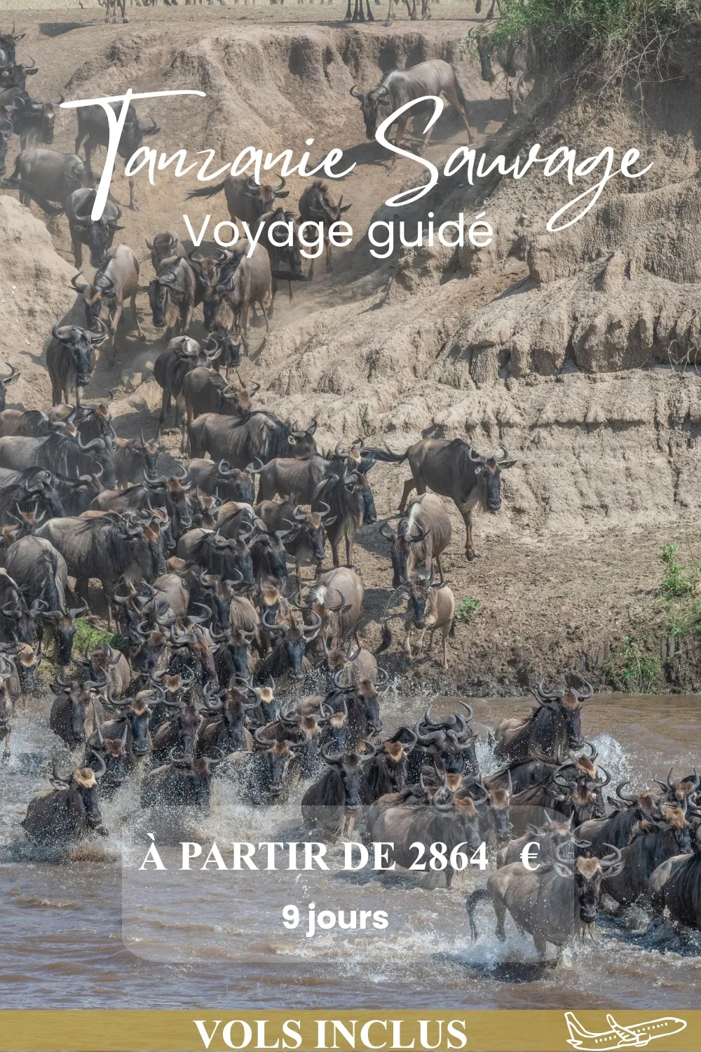 TANZANIE SAUVAGE EN 9 JOURS 