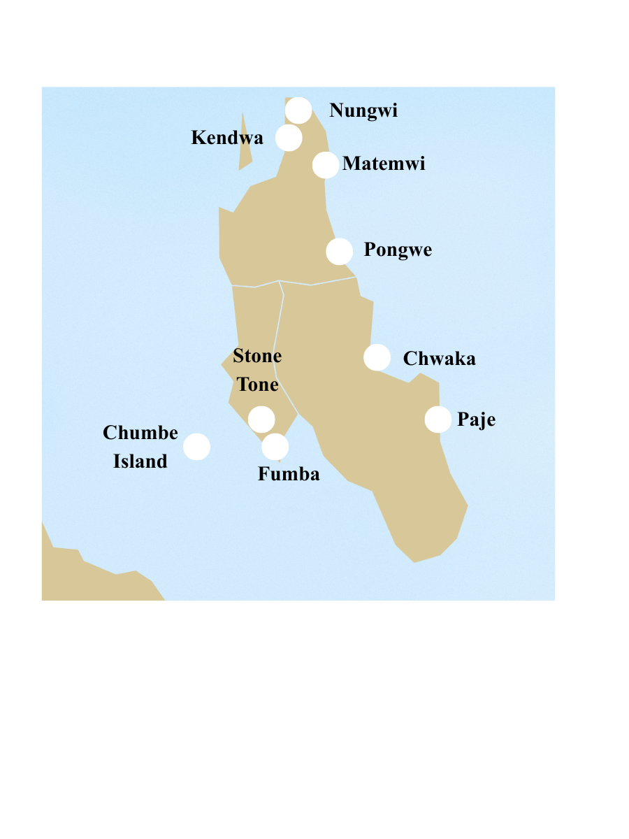 Séjour 9 nuits Zanzibar 13 Itinéraire de rêve Zanzibar