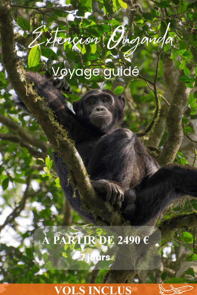 Extension Ouganda 22 Couverture itineraire 1000 x 1500 px 2 1