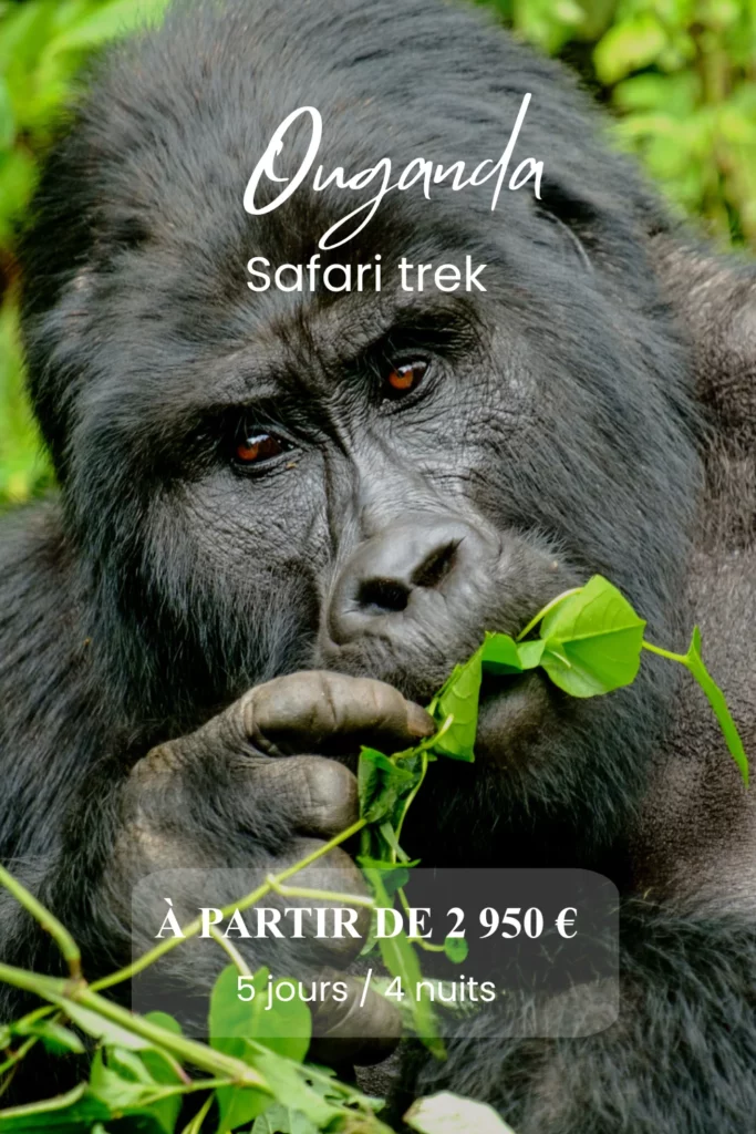 OUGANDA-SIGNATURE 75 Couverture itineraire 1000 x 1500 px 9