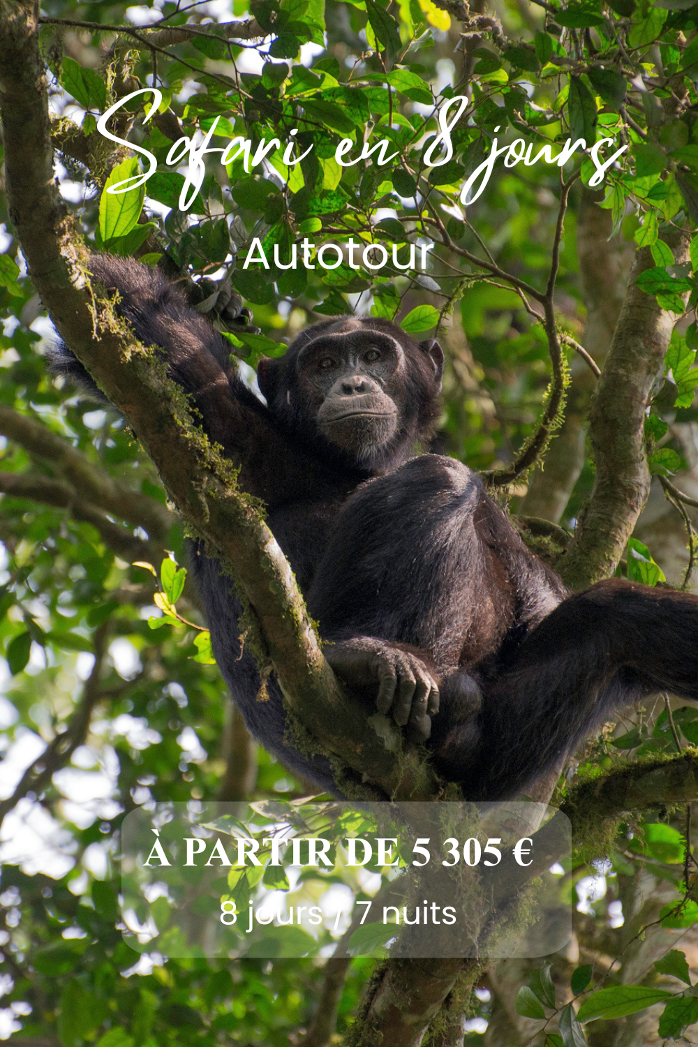 Ouganda 44 Safari en 8j itinéraire