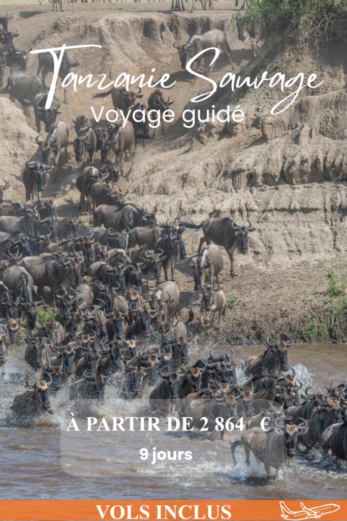 Tanzanie sauvage en 9 jours 54 Couverture itineraire 1000 x 1500 px 9
