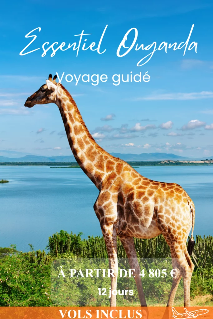 Essentiel Ouganda 11 Couverture itineraire 1000 x 1500 px 1 1