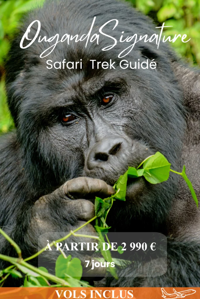 OUGANDA SIGNATURE 33 Couverture itineraire 1000 x 1500 px 1