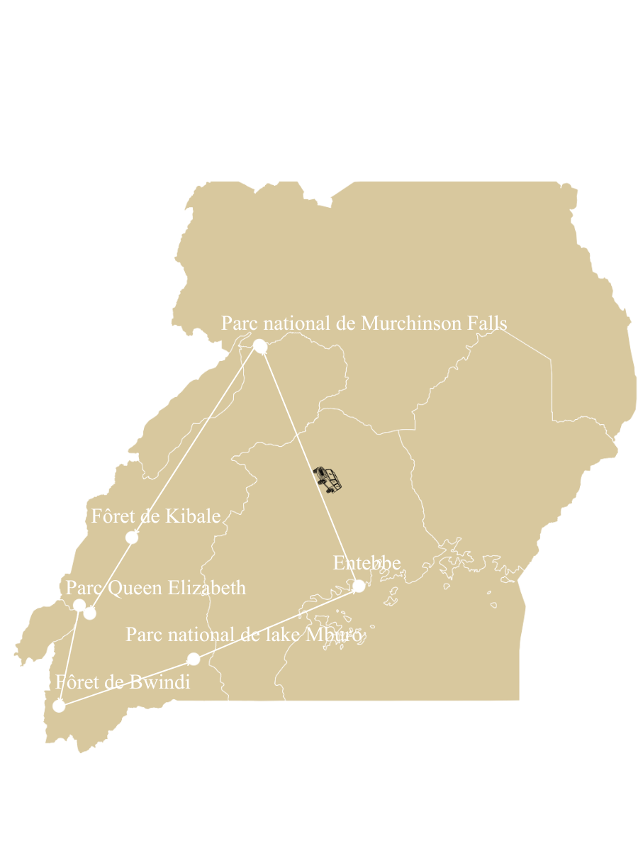 safari Ouganda en 12j