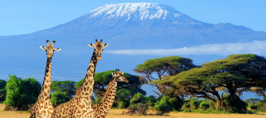 Photo galerie itinéraires 900x400 px -3