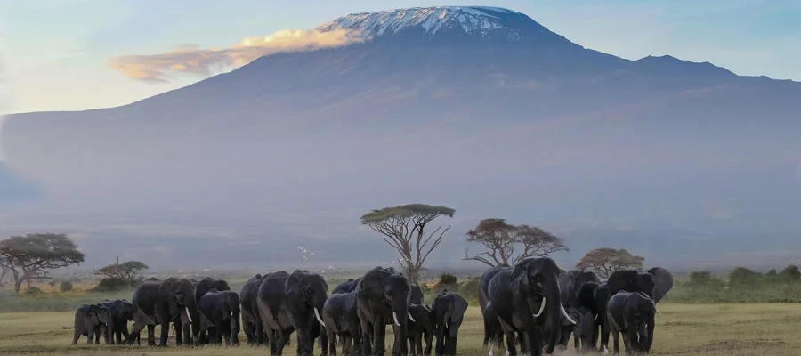 Photo galerie itinéraires 900x400 px -5