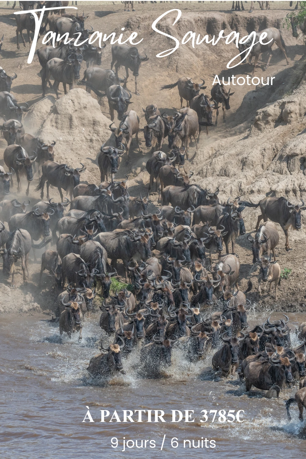 Quel pays choisir pour mon premier safari en Afrique ? 212 ITINERAIRE TANZANIE SAUVAGE