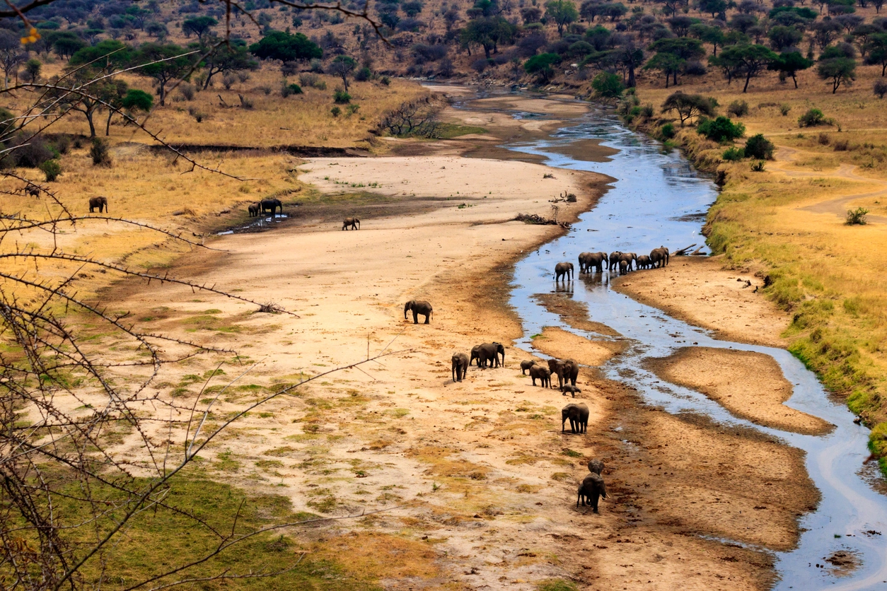 Jour 5 safari en Tanzanie