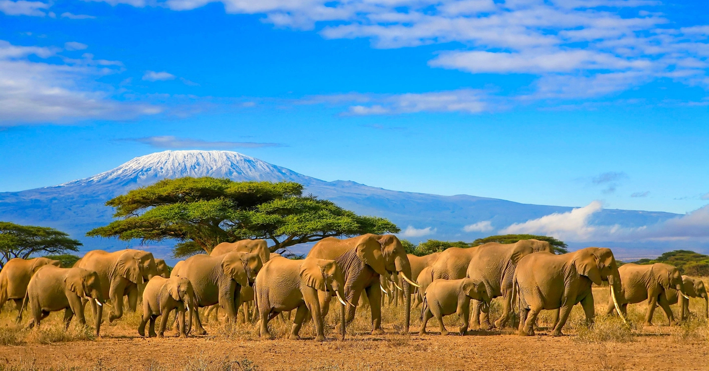 jour 1 safari en Tanzanie