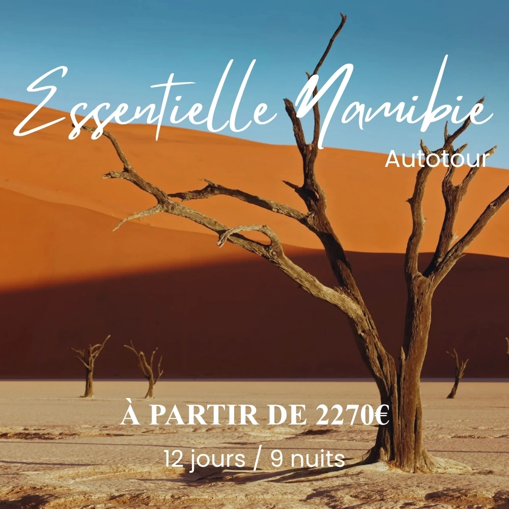 La Thaïlande autrement : découvrez ses petits villages authentiques. 95 Essentielle Namibie 12 jours